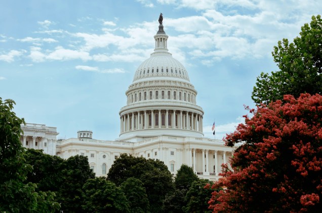 connor-gan-WJLot2BVj90-unsplash connor-gan-WJLot2BVj90-unsplash